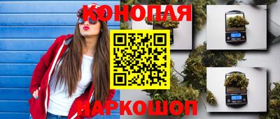 шишки Пушкино