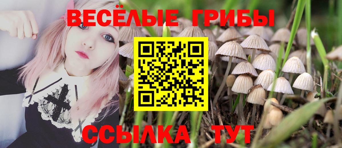 Псилоцибиновые грибы мицелий  Вход с VPN  Азнакаево 